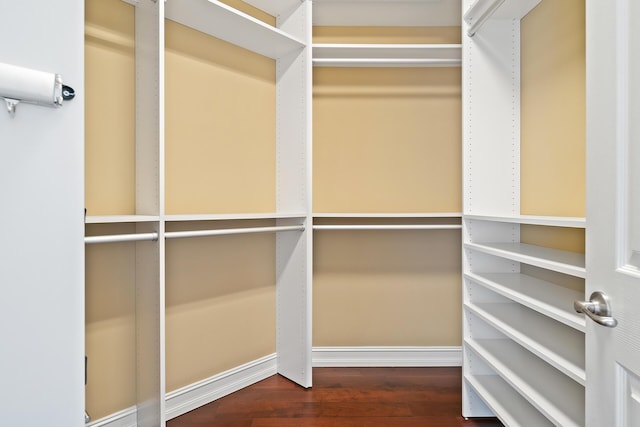 spacious closet featuring dark hardwood / wood-style floors