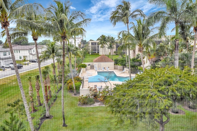 view of swimming pool featuring a patio area and a lawn