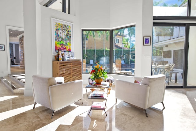 living room with a high ceiling