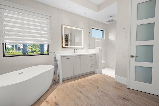 bathroom with plus walk in shower, vanity, and wood-type flooring