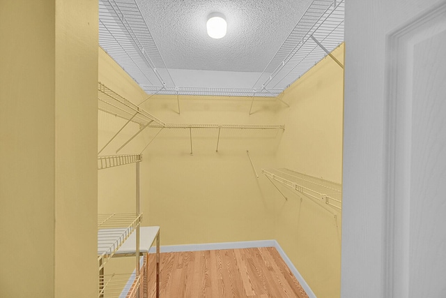 walk in closet featuring light wood-style flooring