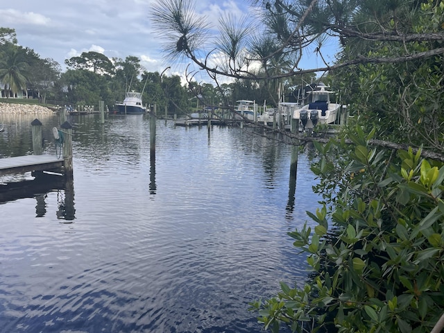 dock area featuring a water view