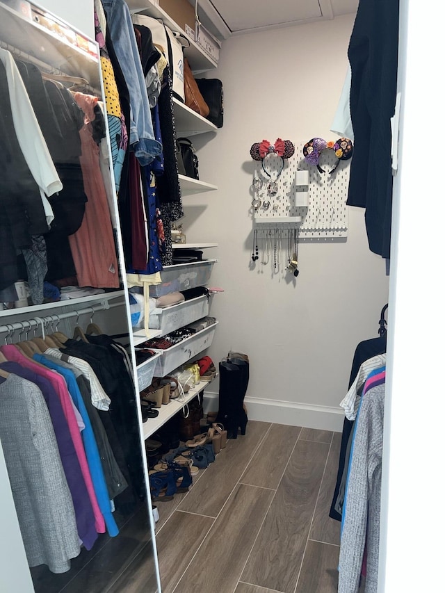 view of spacious closet