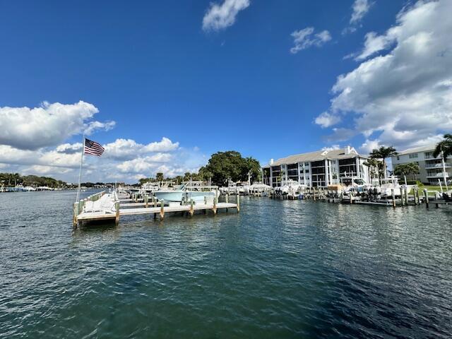 dock area with a water view