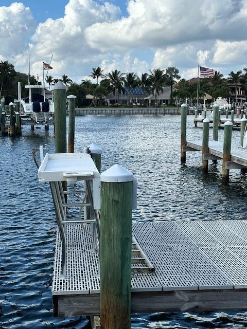 dock area with a water view