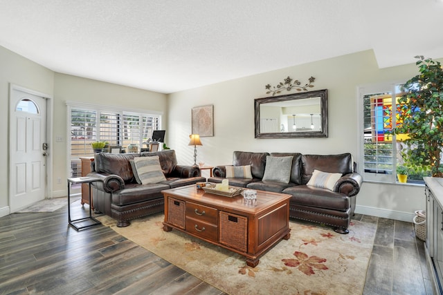 living room with baseboards, a textured ceiling, a healthy amount of sunlight, and wood finished floors