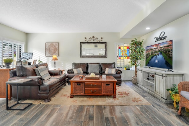 living room with a wealth of natural light, wood finished floors, and a textured ceiling