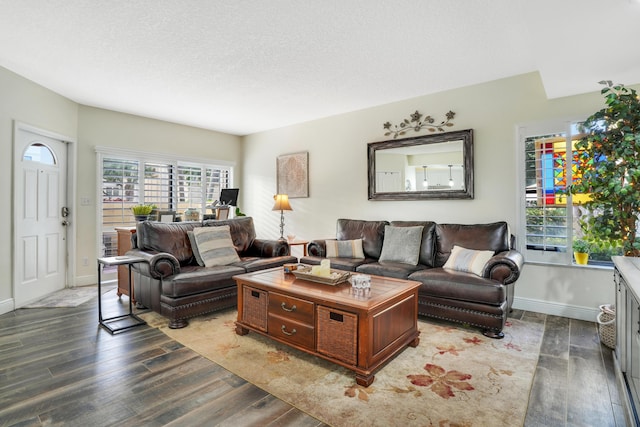 living area with baseboards, wood finished floors, and a textured ceiling
