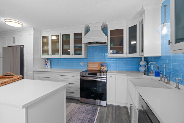 kitchen with white cabinets, stainless steel appliances, sink, and custom range hood