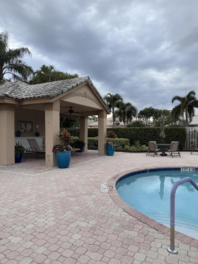 view of pool featuring a patio area and ceiling fan