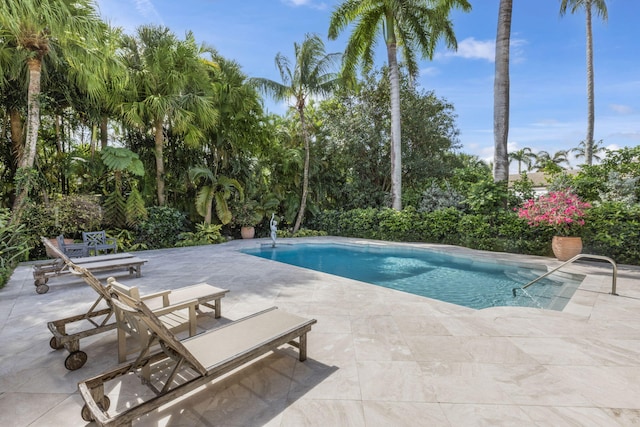 view of pool with a patio