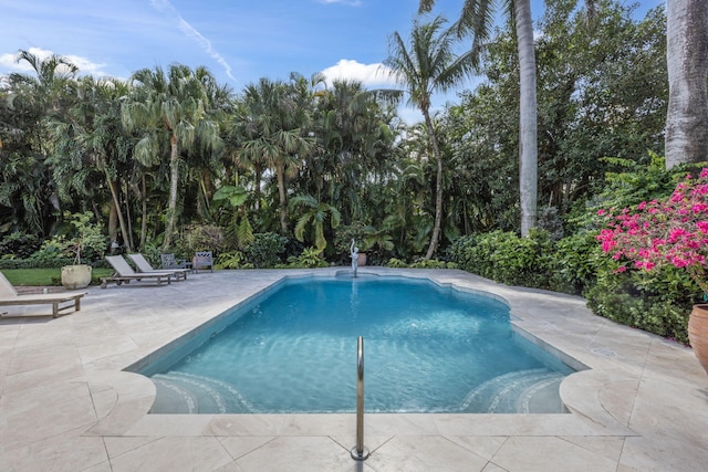 view of swimming pool featuring a patio area