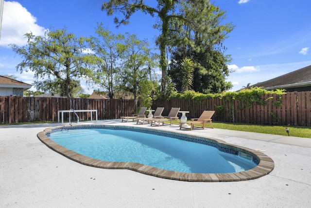 view of swimming pool with a patio area