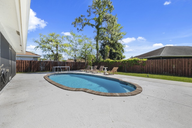 view of pool with a patio