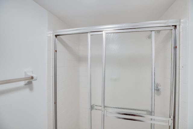 bathroom with a shower with shower door