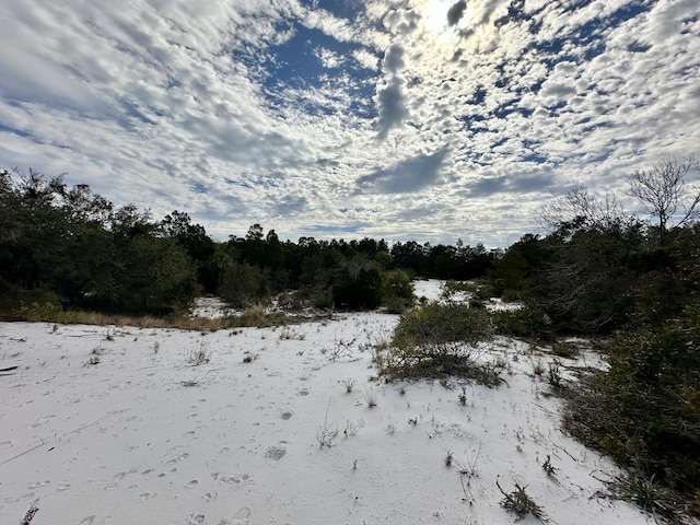 view of snowy view