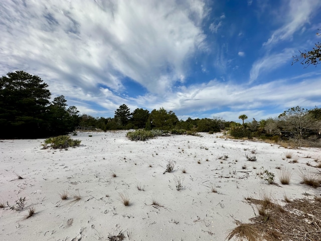 view of snowy landscape