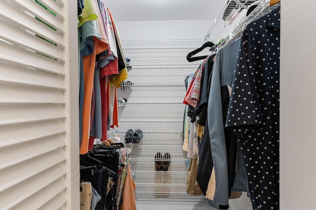 view of spacious closet