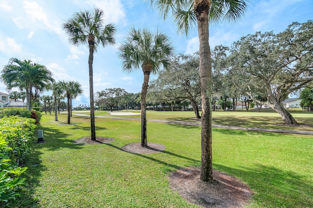 view of community featuring a lawn