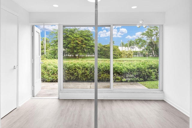 doorway featuring a wealth of natural light and hardwood / wood-style flooring