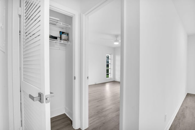 corridor featuring wood-type flooring