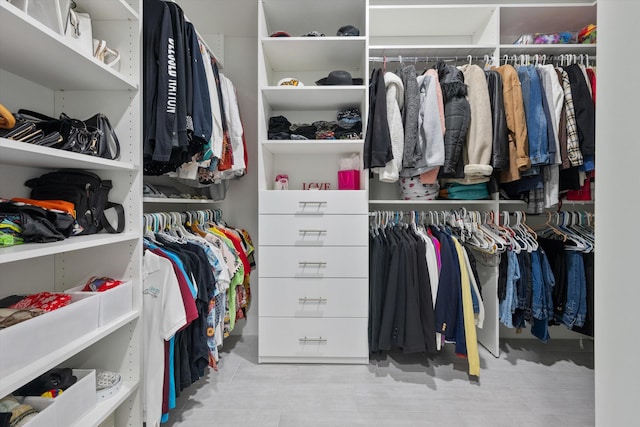 view of spacious closet