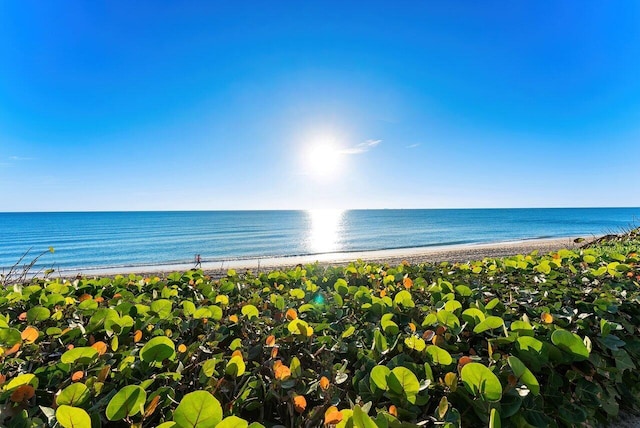 view of water feature with a view of the beach