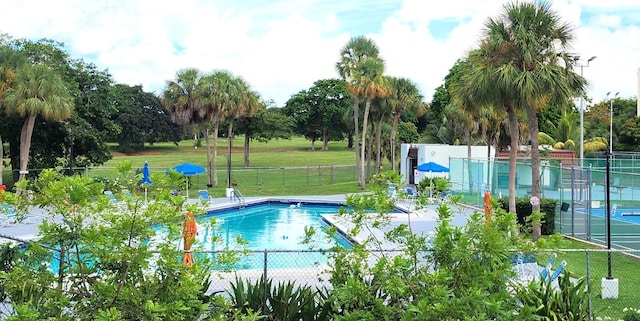 view of swimming pool with a lawn