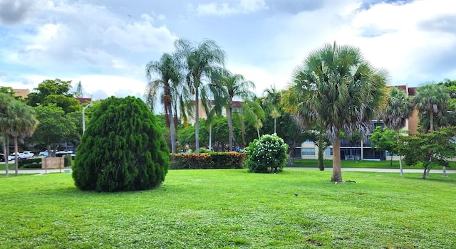 view of home's community with a lawn