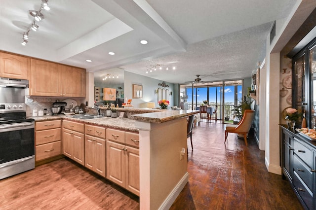 kitchen with kitchen peninsula, stainless steel range with electric cooktop, dark hardwood / wood-style flooring, and sink