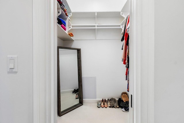 view of spacious closet