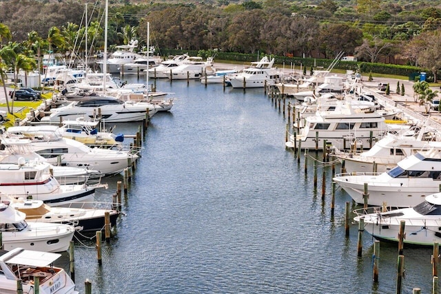 dock area featuring a water view