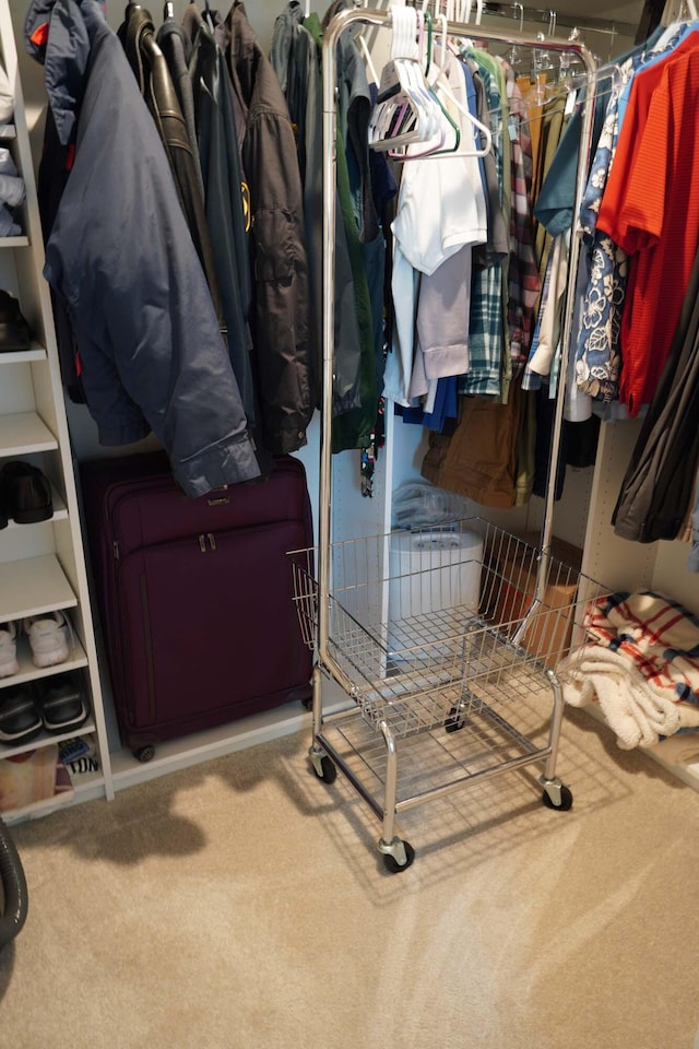 spacious closet featuring carpet floors