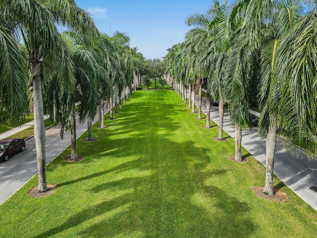 view of home's community featuring a lawn