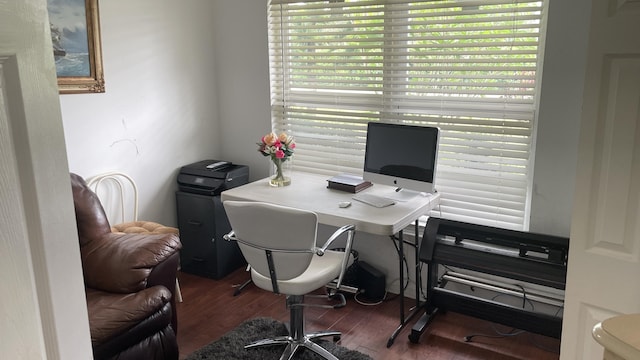 office space featuring dark hardwood / wood-style flooring