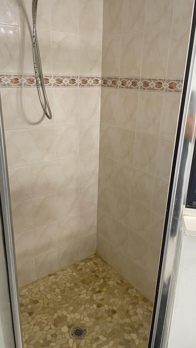 bathroom featuring a shower with shower door