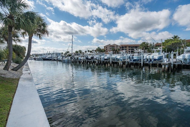 dock area with a water view