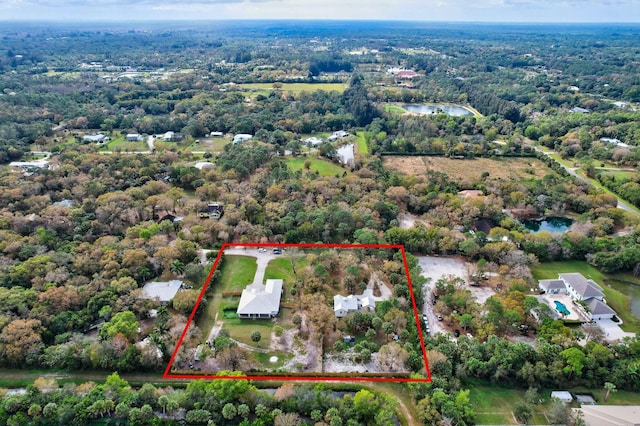 aerial view with a water view and a view of trees