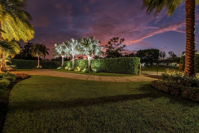 view of yard at dusk