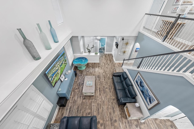 living room with a towering ceiling and hardwood / wood-style flooring