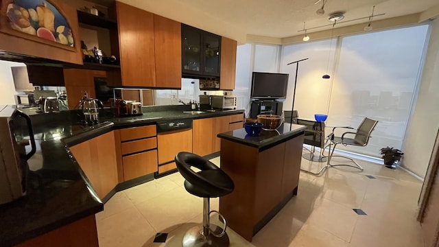 kitchen featuring a center island, track lighting, stainless steel dishwasher, sink, and light tile patterned floors