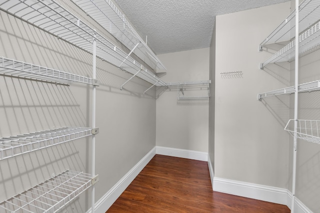 walk in closet featuring dark hardwood / wood-style flooring