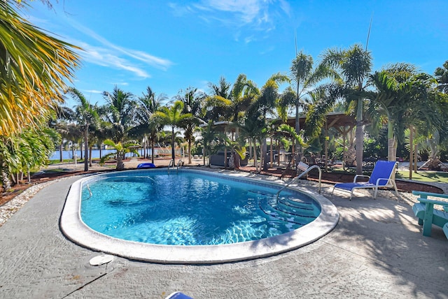 view of swimming pool featuring a patio