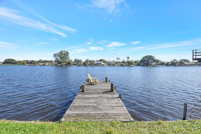 dock area with a water view