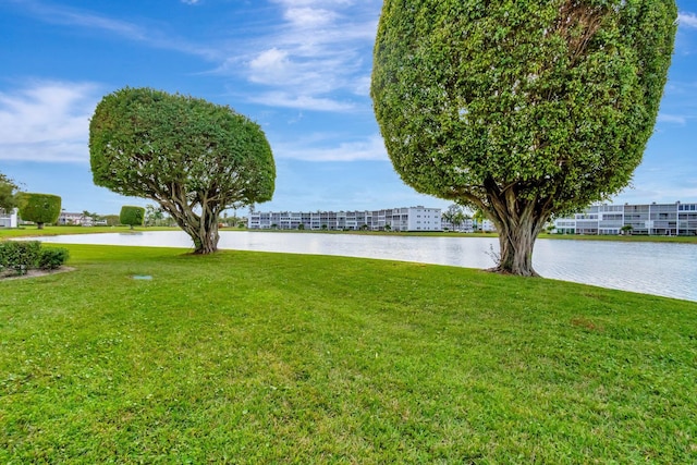 view of yard with a water view