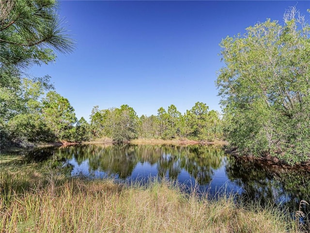 Listing photo 3 for TBD 77th St, Fellsmere FL 32948