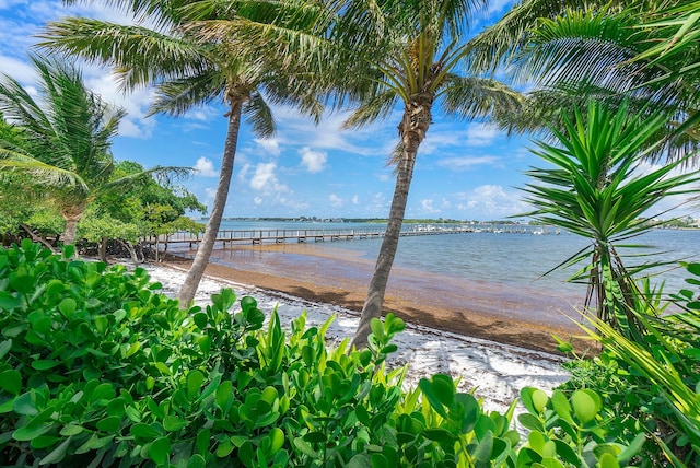 water view featuring a beach view