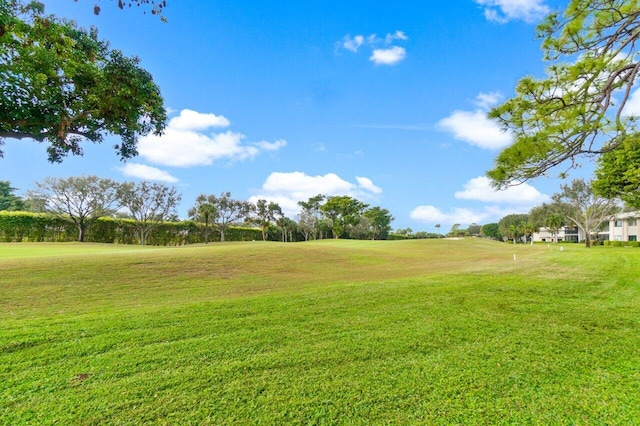 view of yard