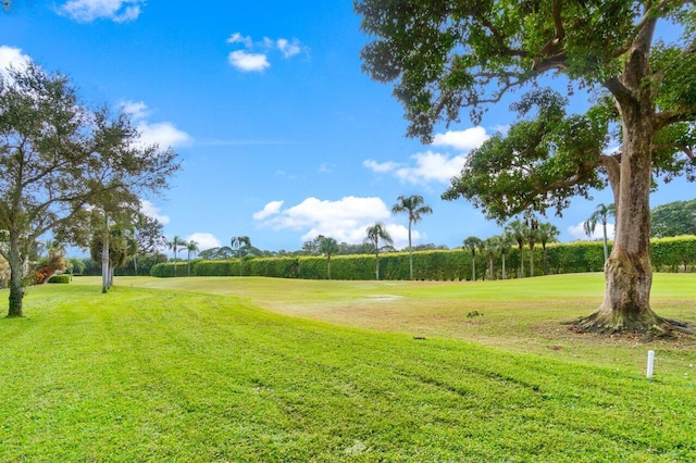 view of home's community featuring a lawn