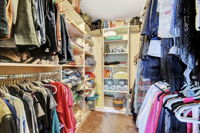 walk in closet featuring carpet